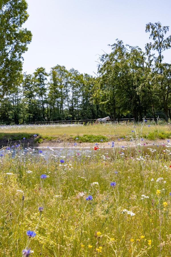 Equilodge 'T Blommeke - Reconnect With Nature Bruges Exterior foto
