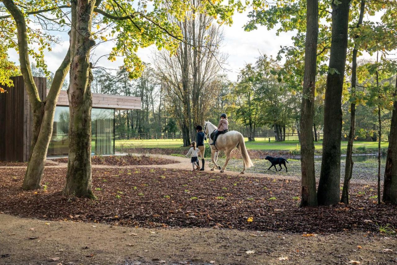 Equilodge 'T Blommeke - Reconnect With Nature Bruges Exterior foto